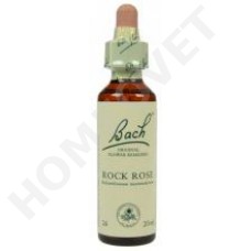 Bach Flower Remedies for Animals - Rock rose